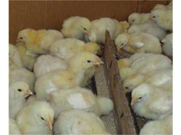 ��� 200 ������� ����� �� ��������� � ��� ������ ����� �� 2022 �. ������ 