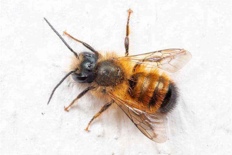 ��� �� ��������� ����� ������� � ���������?