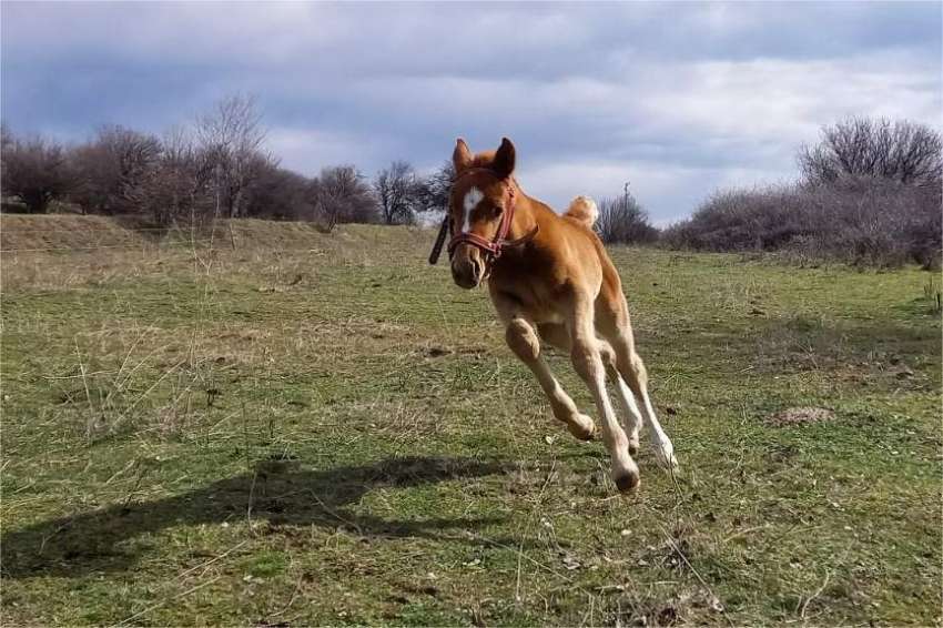 � ������ �� ������ ���� ������ ���� ���������