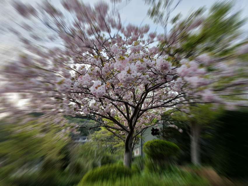 ���� ��������� ������� �������, ���, ������� � �������