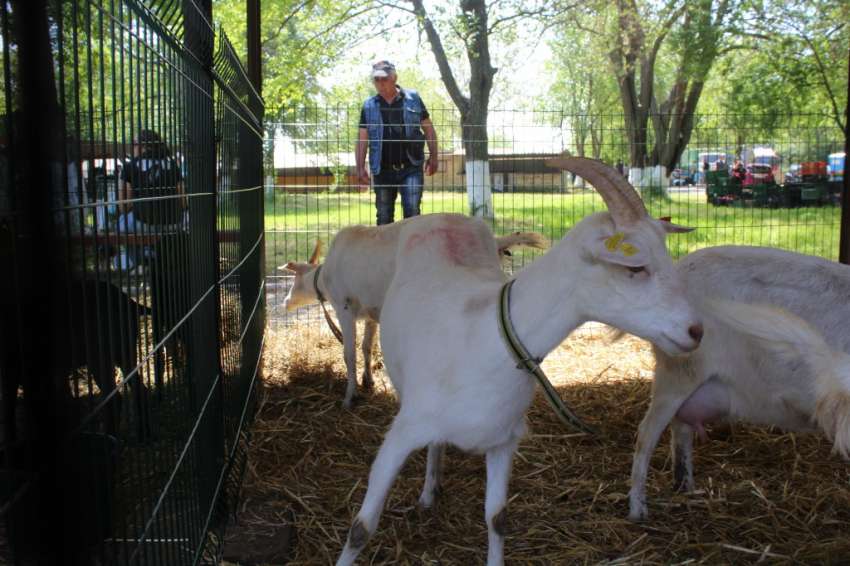 ���������������� � �� �� ����������: ���� ��� ������, ���� ��� ���� � ����