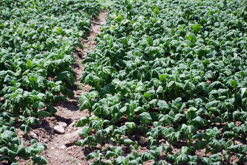 ������������ ��������� �� ��������������������� ���� ���������� �� ������ �� �������� � �������� �� 2026 �.