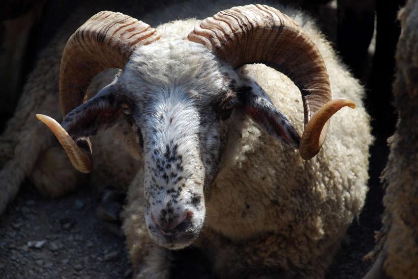 ����������� �� ����������� ������������ ��-��������� ������ ��� �����