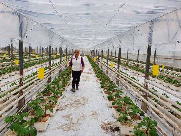 �� ���������� ����� ��������� �� �������� �� ��������� �� �������� ��������