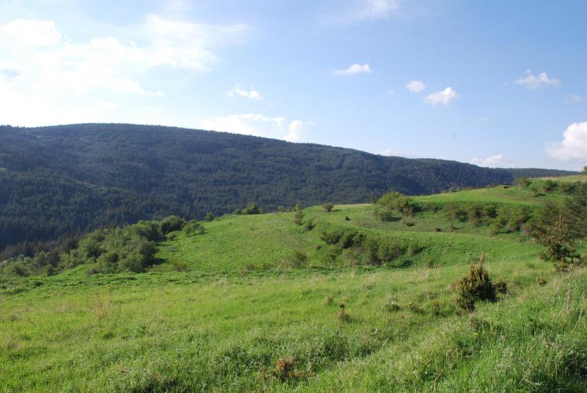 �������� ���������������� ������ � ������ �������, �������!