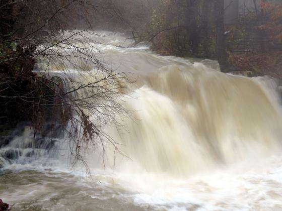 ���� ������ �������  �� ������ - �������� ������ �� �����������