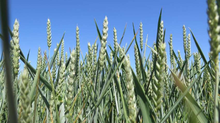 ������, ����� � ��������� �� ��������� ������� �� ����������� ������� 