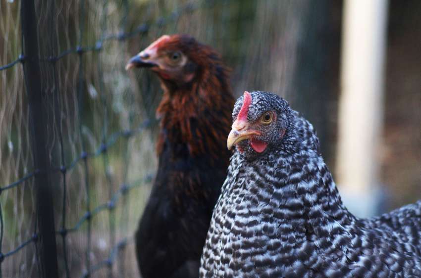 ������ ������� ������� ����� ����� ���� ���� ������ � ����� ����