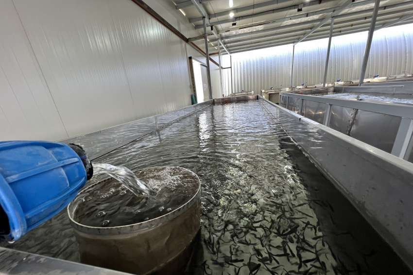 Ðèáàðñêè ïðîåêòè ïî 8 ïðîöåäóðè îò ÏÌÄÐÀ ùå áúäàò ïðèåòè ïðåç 2026 ã.