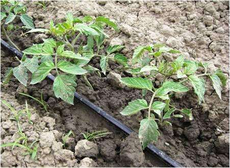 Още за промените в Наредба 3, обнародвани в „Държавен вестник“