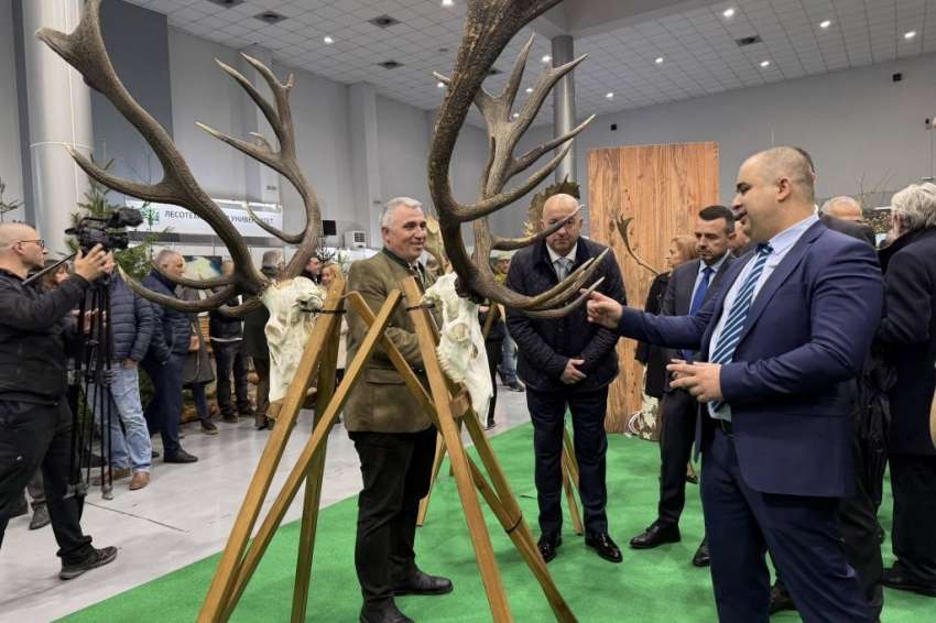 ���� ������� � ����� 20 ����� ������ �� ����������� � ������� 