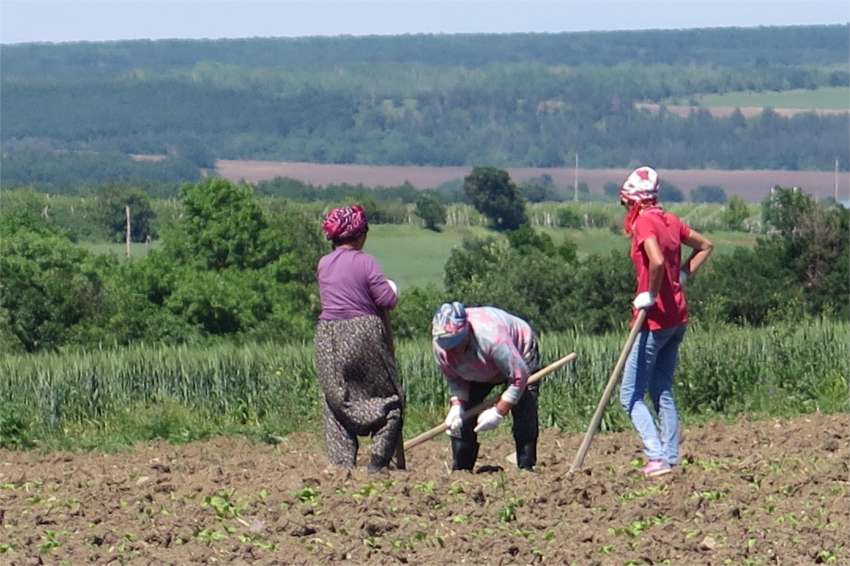 ������������ �� ������� � �������� ��������