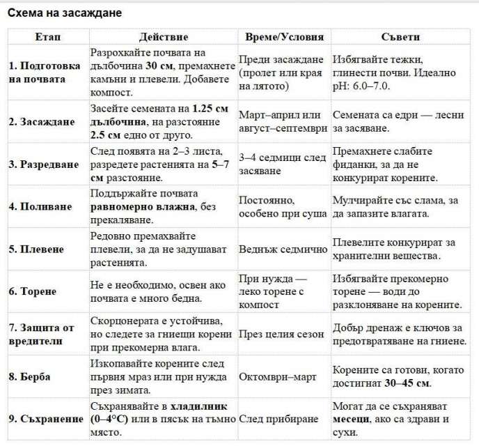 ����� �� ��������� �� ����� �����