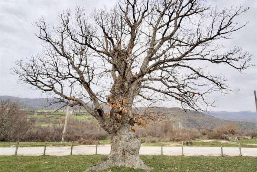 ��������� ���� �� �������� ������� � ��� ��� �������� �������