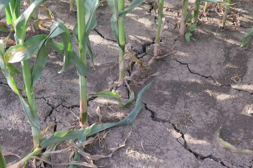 �������� �� ������ ������ �� ����������