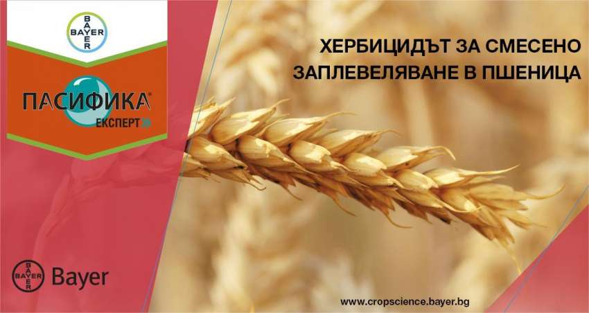 �������� ������� - ������ ������� �� ������� �� ������������� ���� ����