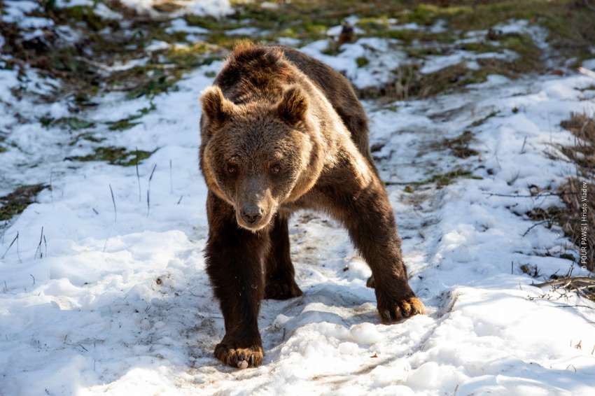 ������ �� ����� � ������ ������ ����� �� 1 ����� � � ���� ���������