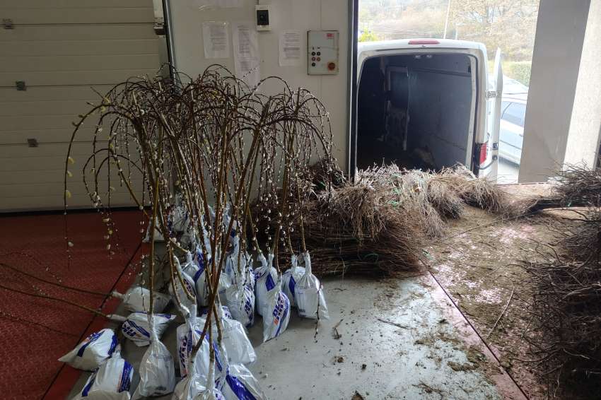 ���� ���� ������� ��������� ���� �� ������� � ��������� ��������