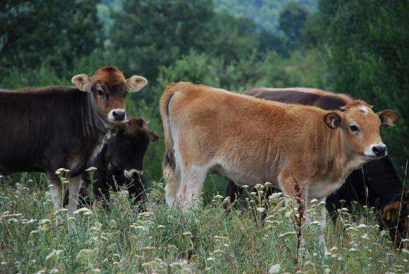 �� ������ �� ����� � ��� 1 ������ ������� ����� ��� � � ����������� �����