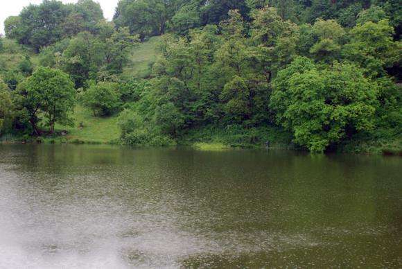 ��������� �� ��������� �� ����� ������ �� 62% �� ������ �� �����