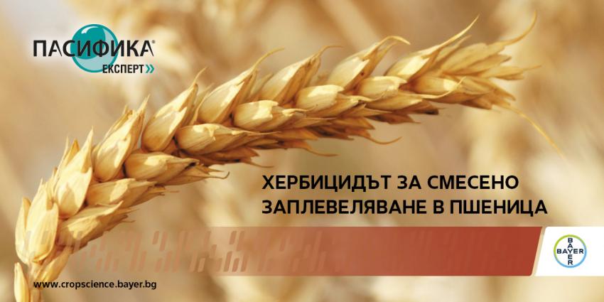 �������� ������� - ������ ������� �� ������� �� ������������� ���� ����