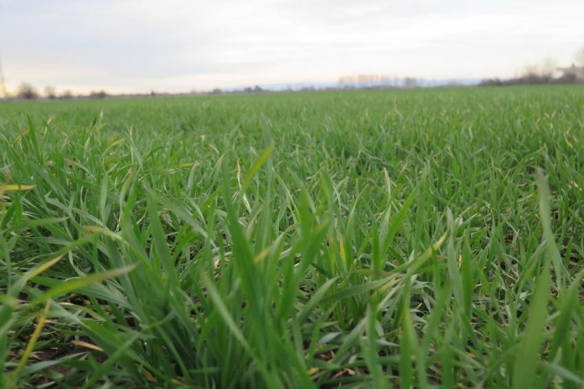 ��� �� ����� ������ � ������� ��� �������