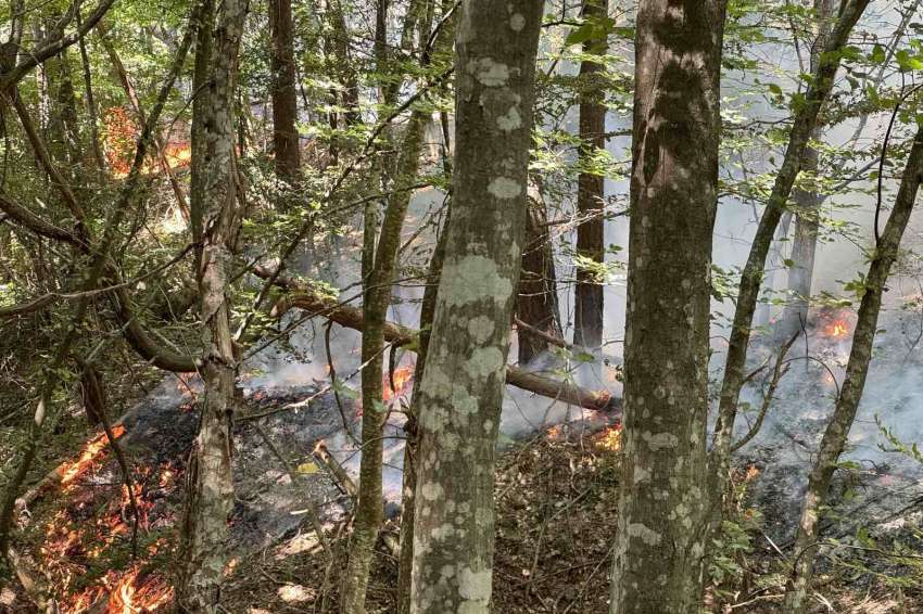 ЕК разширява мерките за пожари в горите – нови самолети и превенция в „Натура“