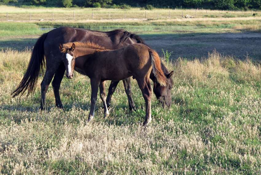 �������� � ���� ������� �� ������������ ��� ����������� ��� ��������� ��� �� �����