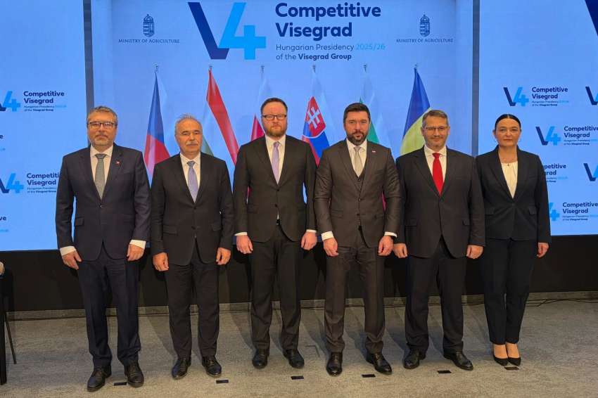 �������� � ������������� �������� � ��������������� ����������� � ������� �� �������� �� ���