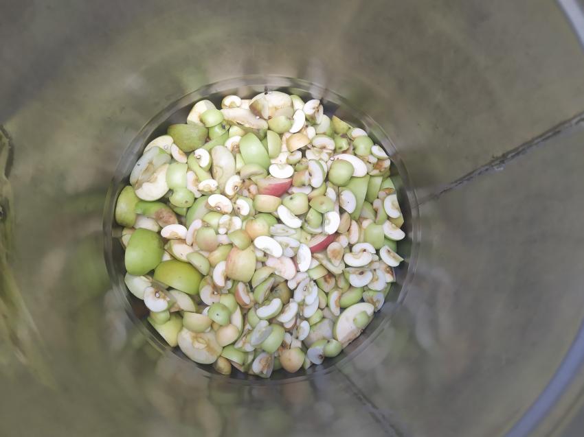 БКПЗ иска данъчна ваканция за субсидиите и регистър на градините