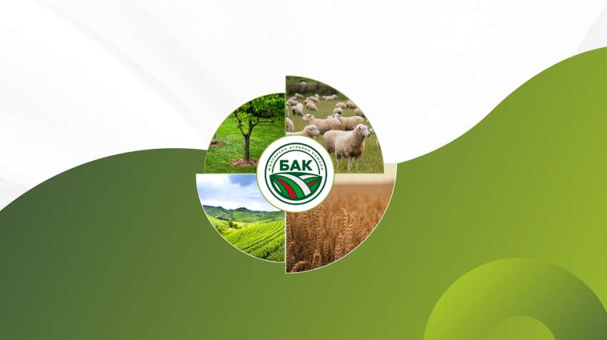 ��������� ������� ������ ������ ������� �� ����� ����� � �����