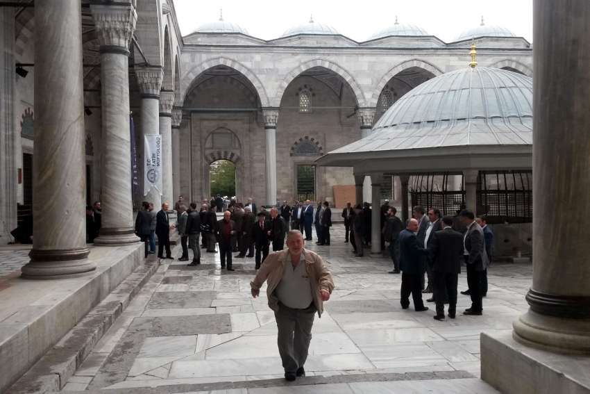 ���� � ������ ��������� ��� 8,7 ����. ���� �������� �� ���������