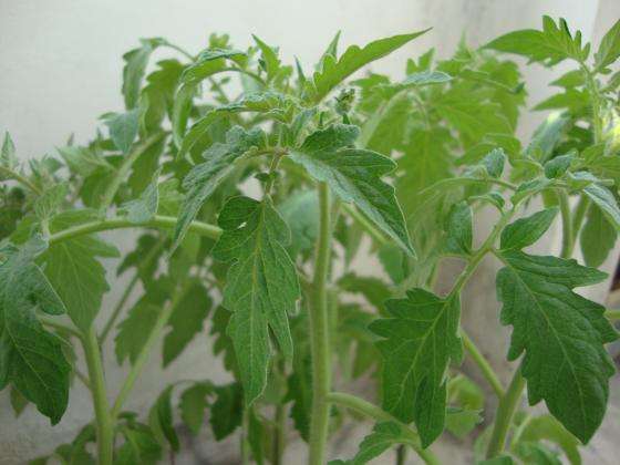 ���� � � ����� ������ �� ����������� ������� �� ������ � �� ����� ������