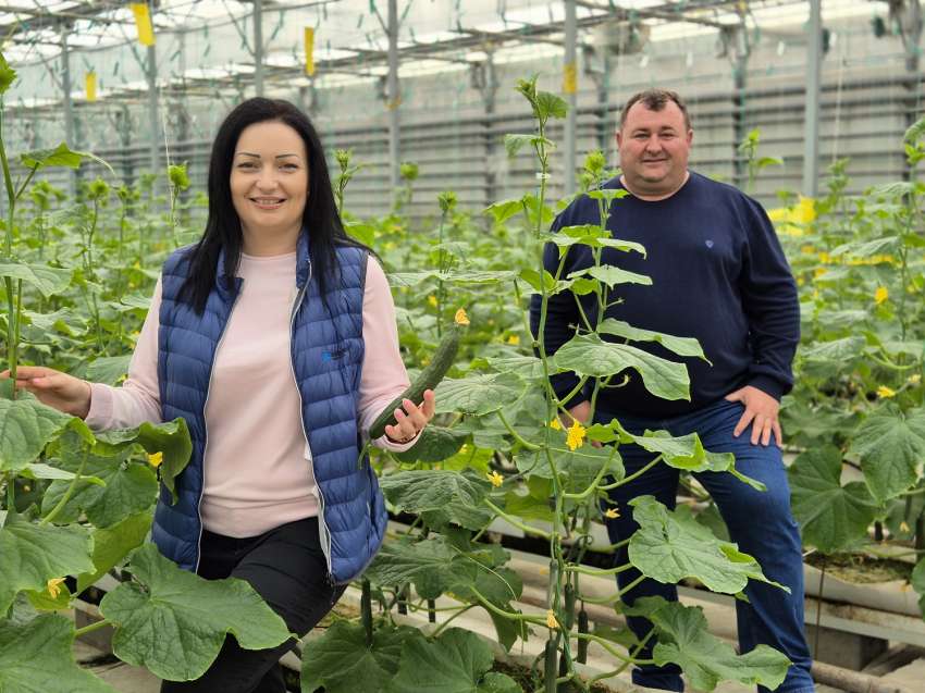 Сивият сектор стигна 60% в зеленчукопроизводството, предупреждават фермери