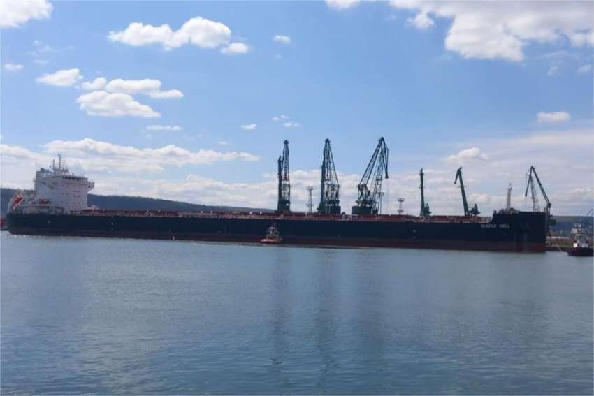 В селскостопанския износ на Австралия към ЕС водещи са рапицата и цитрусите