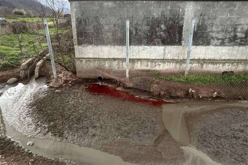 �����, ����� ������� � ��������� �������� ��������� ���� �����������