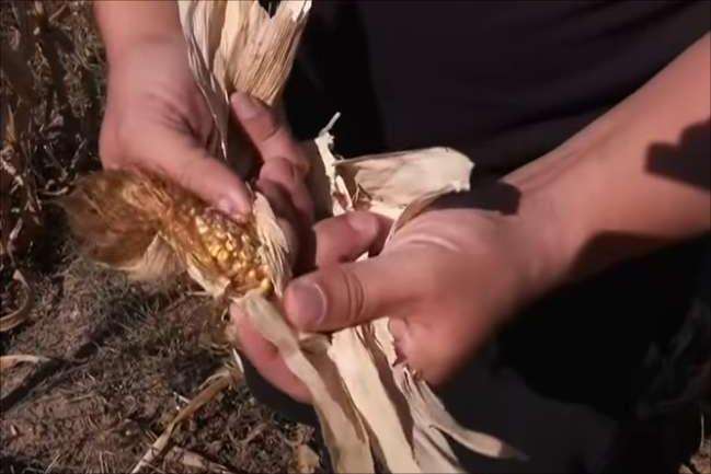 ����������� ��������� �������� �� �� ������ �������� 7,4 ���. ����