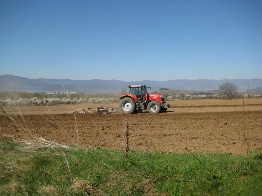 ��������� ������ ��������� 3 ������ � ����� �� �������� �� ����������� ���������