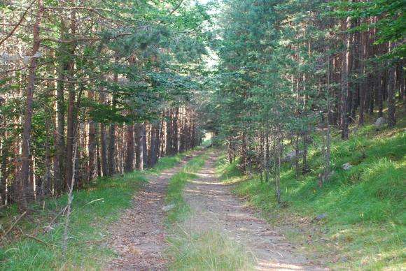 �� 1 ����� �� 30 �������� ����� ������ ����� ����� ������ � ���������� ���������