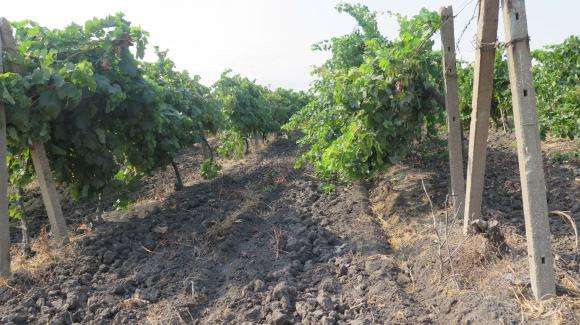 ������� ��������� ����, �������� ���������� ���� � ����� �� ������?