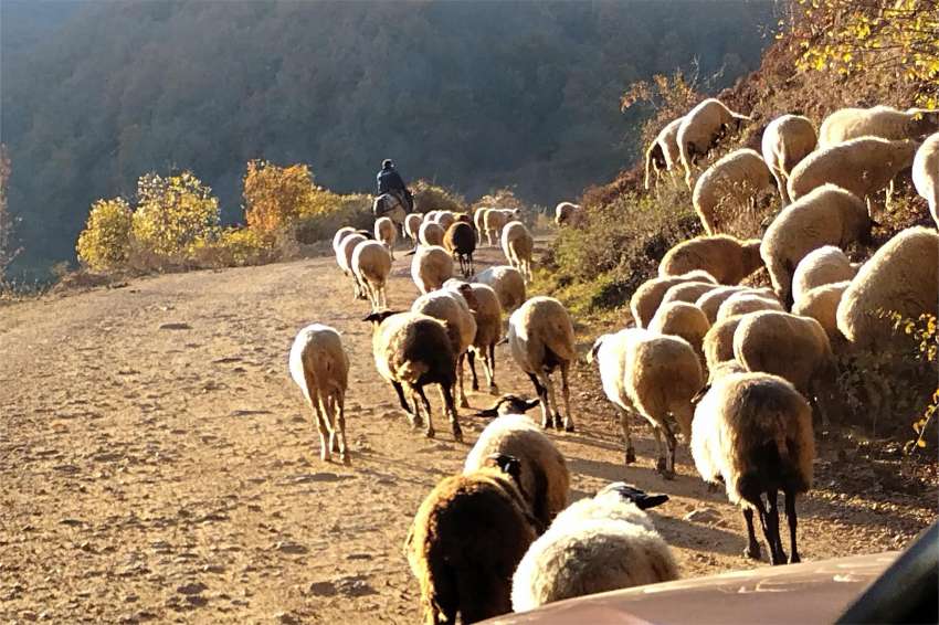 ������ � ���� �������� �� ����� �������: 100 ���� � ���� �� ����������