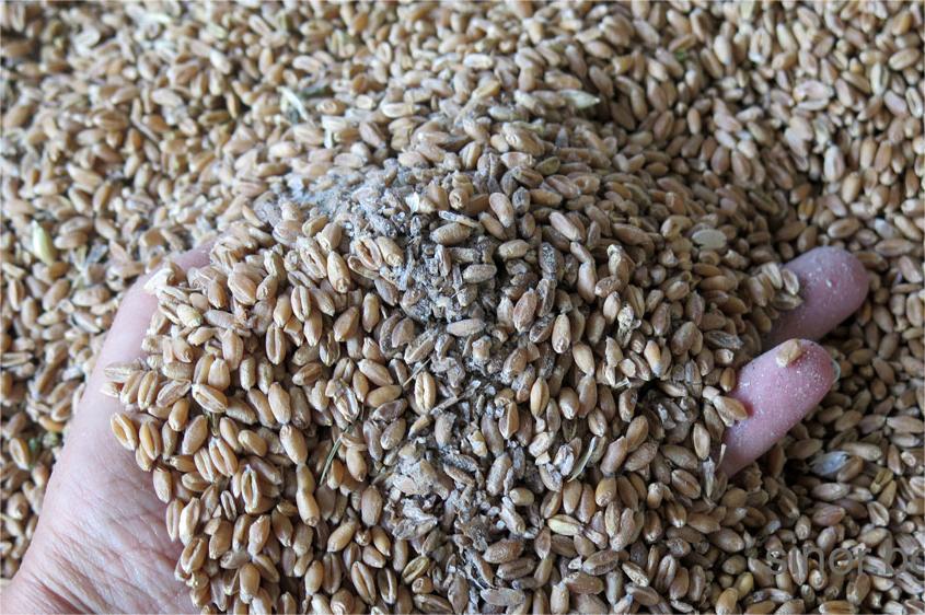 ������ �� ��������� � ���������� �� ������ ������� � �������