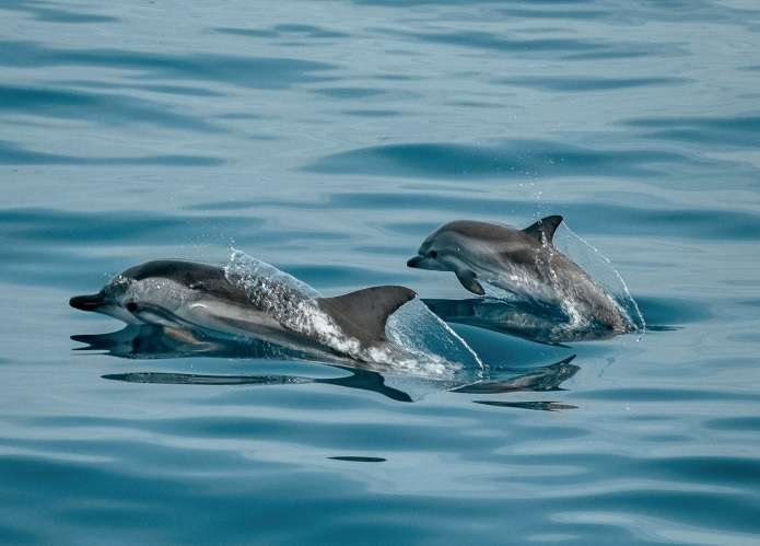 ����������� � ����� �������� �� ������������� �� ����������� ��������� � ����� ����