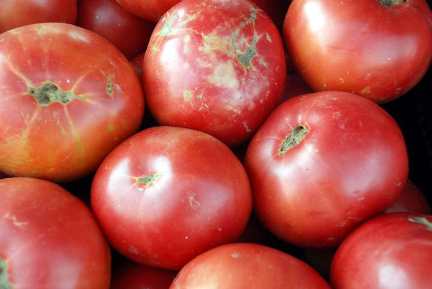 �������� ������� ���������� �������������� �� ���������, ���� ��� ���������