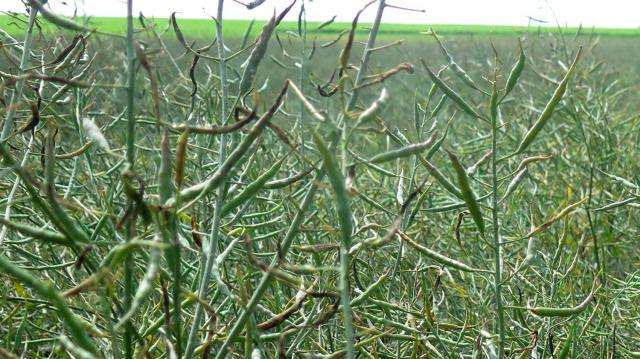 ���������� �������� ��� ������� �� ������� �� 2,4%