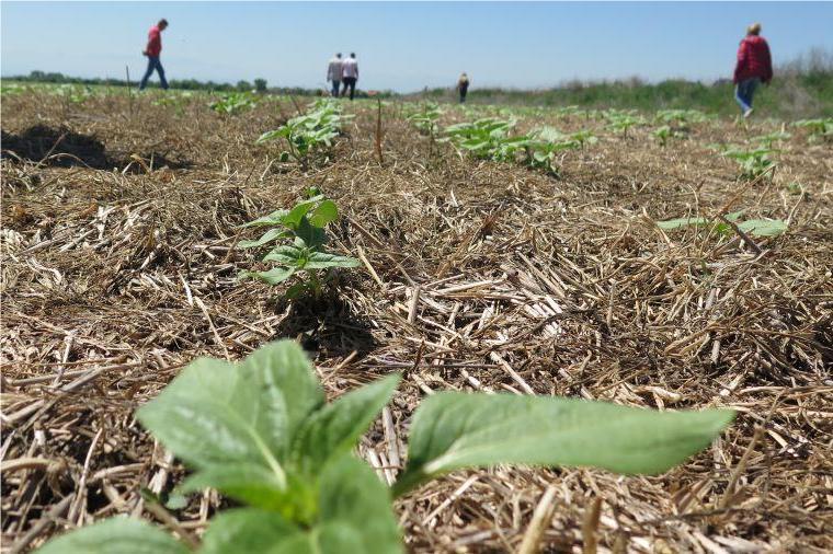 ������� ������ ����� ������ ������ �� ������������� ����� �� ������� �����