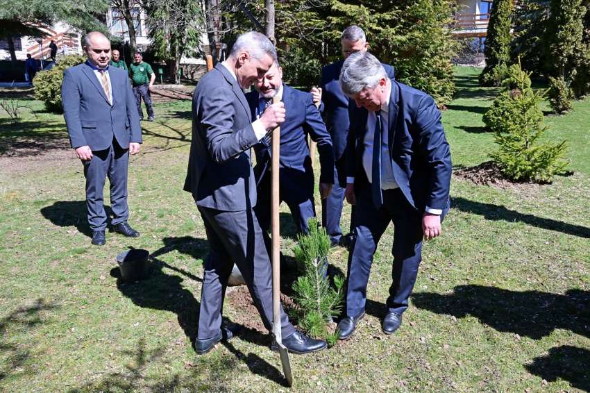 ������ �����:����� ��������� �������� ����� ������ ����� � ��������� ��� ���������