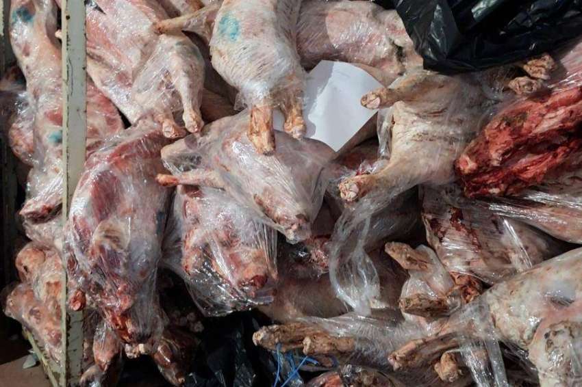 ���� ������� ���� �� ������������ � ������ ������ ���������