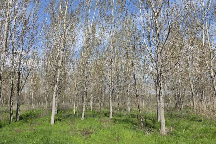 ���������� ����� 10 ������ ����������� ���� ���� ������