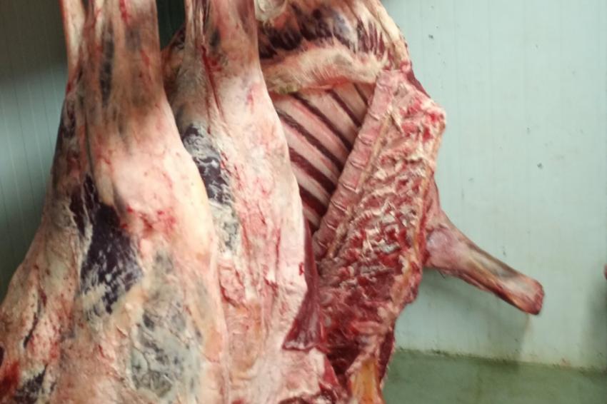 �������� � ��������� ������� � �������, ������������ �� ������ �� ��������